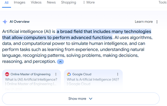 AI overview example-1